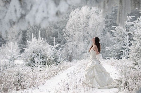 зимняя свадьба в стиле сказки