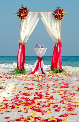Оформление свадьбы на пляже