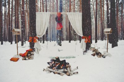 свадьба в зимнем саду