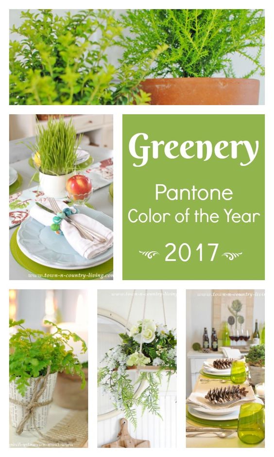 Зеленый (Greenery): цвет свадьбы 2017
