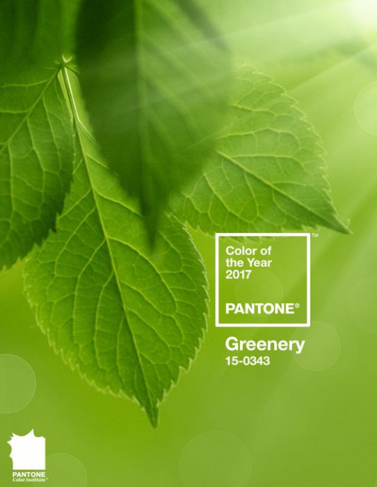 Зеленый (Greenery): цвет свадьбы 2017